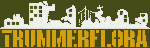 Trummerflora Collective